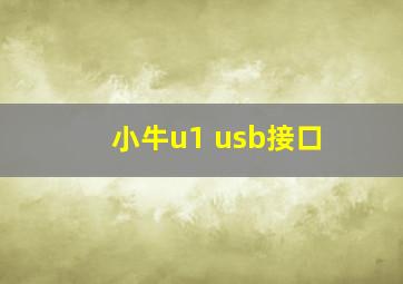 小牛u1 usb接口